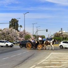 Tourists travelling in a horse-drawn carriage across a crossroads, Seville, Spain, Europe