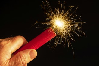 Ignited firework is held by one hand, firecracker, firecracker with burning fuse