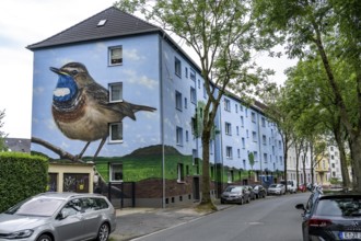 Residential buildings on Feldsieper Straße in Bochum, after an energy-efficient refurbishment, with