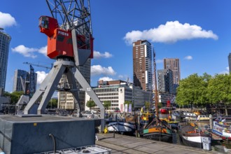 The Maritime Museum, outdoor area in the Leuvehaven, in Rotterdam, many old ships, boats, exhibits