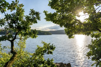 Lake Rursee, reservoir in the Eifel National Park, north-east bank near Heimbach, near the Rur dam