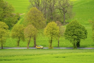 Car on a country road, green fields, meadows, trees line the 2-lane road, spring, near Schwelm,