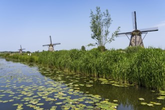 Kinderdijk, 18 windmills designed to pump water from the polders to utilise the land, one of the