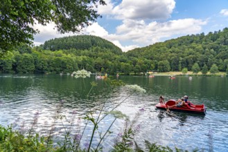 Gemündener Maar, Vulkaneifel, Vulkansee, Eifel, Rhineland-Palatinate, Germany, Europe