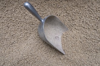 Shovel in concentrated feed in a cowshed, North Rhine-Westphalia, Germany, Europe