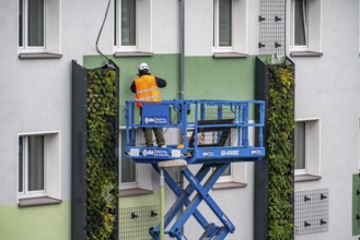 Installation of façade greenery on 4 apartment blocks on Gladbecker Straße, B224, to filter