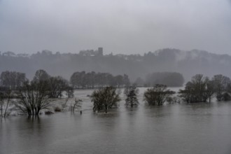 Floods on the Ruhr, here near Bochum-Stiepel, flooded Ruhr floodplains, after days of continuous