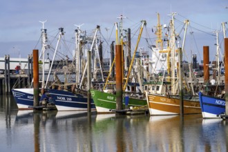 Fishing boats, shrimp boats in the harbour of Norddeich, Lower Saxony, Germany, Europe