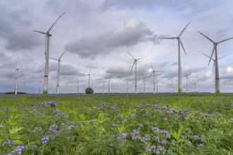 Wind farm north-east of Bad Wünnenberg, near the village of Elisenhof, on the A44 motorway, North