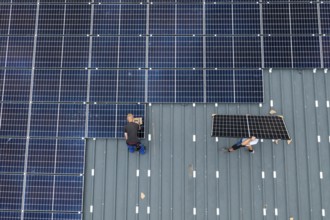 Installation of solar modules on the roof of a barn on a farm, over 210 photovoltaic modules are