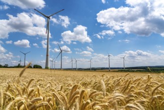 Wind farm near Lichtenau, East Westphalia-Lippe, grain field, North Rhine-Westphalia, Germany,