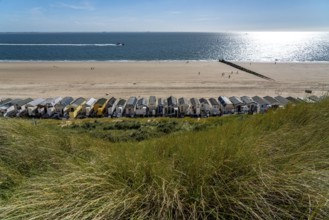 Beach houses, holiday homes on the beach near Zoutelande Province of Zeeland, Walcheren Peninsula,