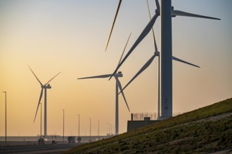 ENECO wind farm on the dike around the harbour Maasvlakte 2, 22 wind turbines with a capacity of