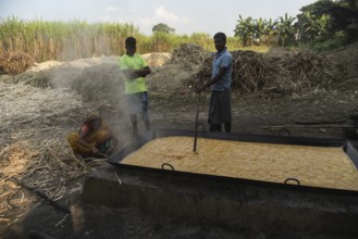 Workers boiling sugarcane juice as they are making Gur (jaggery) in a village on December 10, 2021