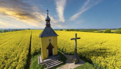 Agriculture, rape field, in full bloom, yellow, in it a small prayer chapel, aerial view, AI