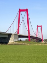 View over Rhine meadows on the left bank of the Rhine to red steel pillars of earth-anchored