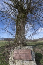 Plaque commemorating the reconciliation of the Franco-Prussian War 1870-1871 in front of a lime