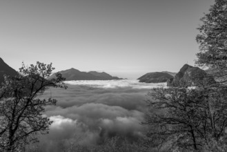 Mountain Peak San Salvatore Above Cloudscape with a Autumn Tree and Sunlight with Clear Sky in