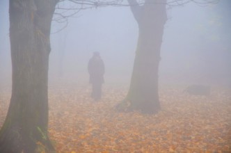 Woman Walking in the Foggy with Autumn Forest with Leaves in Bellinzona, Ticino, Switzerland,