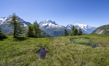 Mountain panorama with glaciated mountain peaks, Aiguille Verte with Aiguille du Midi and Mont