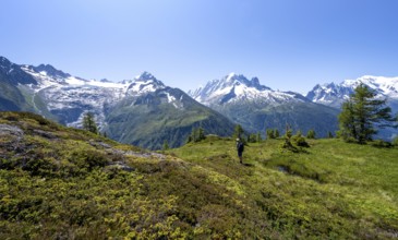 Mountaineer in front of a mountain panorama with glaciated mountain peaks, Aiguille Verte with