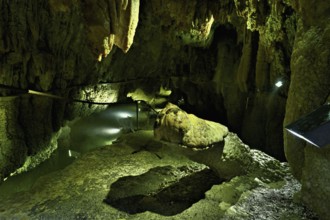 Crocodile, calcite formation, landmark of the cave, stalactite cave, Höllgrotten, Baar, Canton Zug,