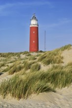 Eierland lighthouse with dunes, De Cocksdorp, Texel, West Frisian Islands, Province of North