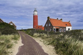 Lighthouse Eierland with houses, De Cocksdorp, Texel, West Frisian Islands, province North Holland,