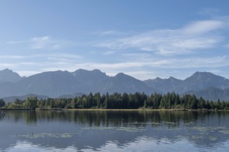 Hopfensee, Hopfen am See, near Füssen, Allgäu Alps, East Allgäu, Allgäu, Bavaria, Germany, Europe