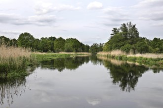 Unregulated natural course of the Spree, Mönchwinkel, 16 05 2023