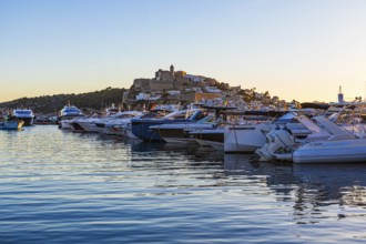 Luxury yachts in the harbour, behind the fortress and the old town of Eivissa, Ibiza Town, Ibiza