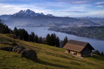 View from Seebodenalp to Lucerne, Lake Lucerne, in the background Mount Pilatus and Central Swiss