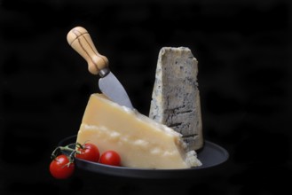 Parmesan cheese and gorgonzola cheese on a tray with cheese knife, Italy, Europe