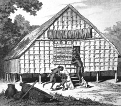 House in Dallmannhafen, Wewak, a harbour town in the north of Papua New Guinea, in 1880,