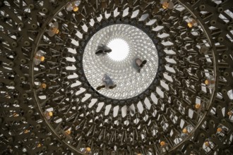 Visitor on glass pane from below, The Hive, artwork by Wolfgang Buttress, Royal Botanic Gardens