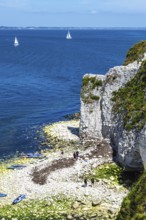 People on paddleboards, White Cliffs. Old Harry Rocks Jurassic Coast, Dorset Coast, Poole, England,