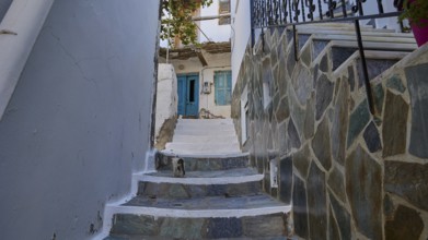 Narrow staircase leads through a traditionally built alleyway with whitewashed walls, Mesochori