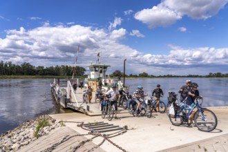 Bicycles at the Werben Elbe ferry from Räbel to Havelberg, Saxony-Anhalt, Germany, Europe