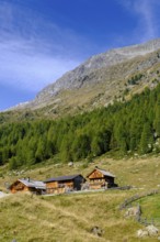 Staller Almen, high valley, Staller Sattel, Defereggen Valley, East Tyrol, Austria, Europe