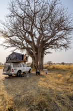 Young man sitting in the roof tent in the morning, Four-wheel drive vehicle with opened roof tent