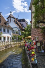 Toy shop on the Gewerbekanal, Gerberau, historic city centre of Freiburg im Breisgau,