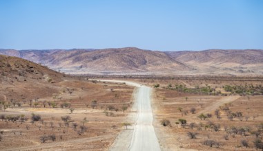 Gravel track leads through barren dry landscape with red and yellow hills, Kaokoveld, Kunene,