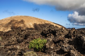 2016, Timanfaya National Park, Lanzarote, Fire Mountains of Timanfaya National Park, Montanas del