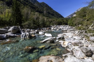 Rocks in the Verzasca River between Lavertezzo and Brione, Verzasca Valley, Valle Verzasca, Canton