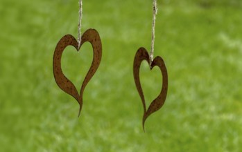 Two metal hearts as decoration hanging with strings in front of a green background, North