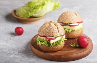 Sandwiches with cheese, radish, lettuce and cucumber on wooden board on a gray concrete background.