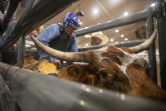 Oklahoma City, Oklahoma, The Great Plains Rodeo, an annual gay rodeo that features traditional