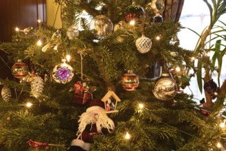 Europe, Germany, Christmas, Christmas tree with tree decorations, baubles and fairy lights, Europe