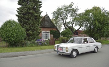 Europe, Germany, Lower Saxony, Lower Elbe Classics, classic car tour, Mercedes-Benz, W 115/ 8, year