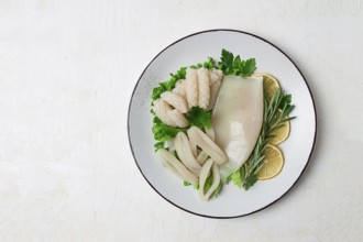 Fresh squid, raw, carcass, cut into rings, top view, no people